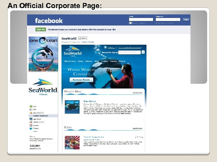 An Official Corporate Page: 
