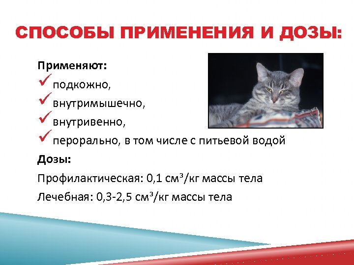 СПОСОБЫ ПРИМЕНЕНИЯ И ДОЗЫ: Применяют: üподкожно, üвнутримышечно, üвнутривенно, üперорально, в том числе с питьевой
