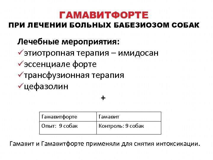 ГАМАВИТФОРТЕ ПРИ ЛЕЧЕНИИ БОЛЬНЫХ БАБЕЗИОЗОМ СОБАК Лечебные мероприятия: üэтиотропная терапия – имидосан üэссенциале форте