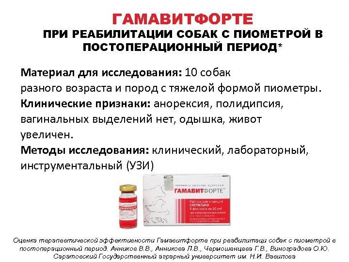 ГАМАВИТФОРТЕ ПРИ РЕАБИЛИТАЦИИ СОБАК С ПИОМЕТРОЙ В ПОСТОПЕРАЦИОННЫЙ ПЕРИОД* Материал для исследования: 10 собак