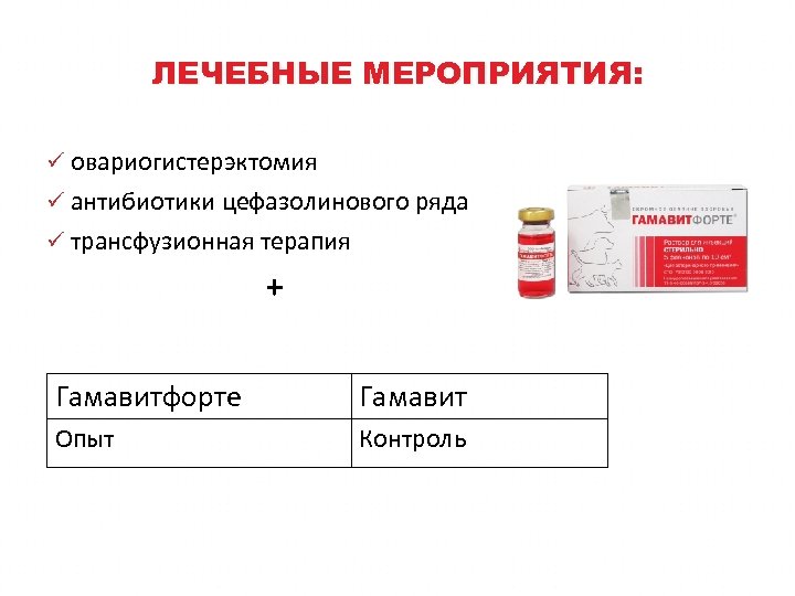 ЛЕЧЕБНЫЕ МЕРОПРИЯТИЯ: ü овариогистерэктомия ü антибиотики цефазолинового ряда ü трансфузионная терапия + Гамавитфорте Гамавит
