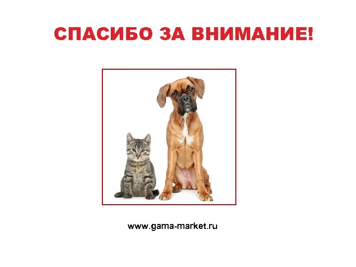 СПАСИБО ЗА ВНИМАНИЕ! www. gama-market. ru 
