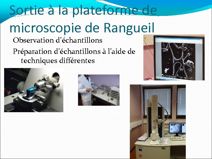 Sortie à la plateforme de microscopie de Rangueil Observation d’échantillons Préparation d’échantillons à l’aide