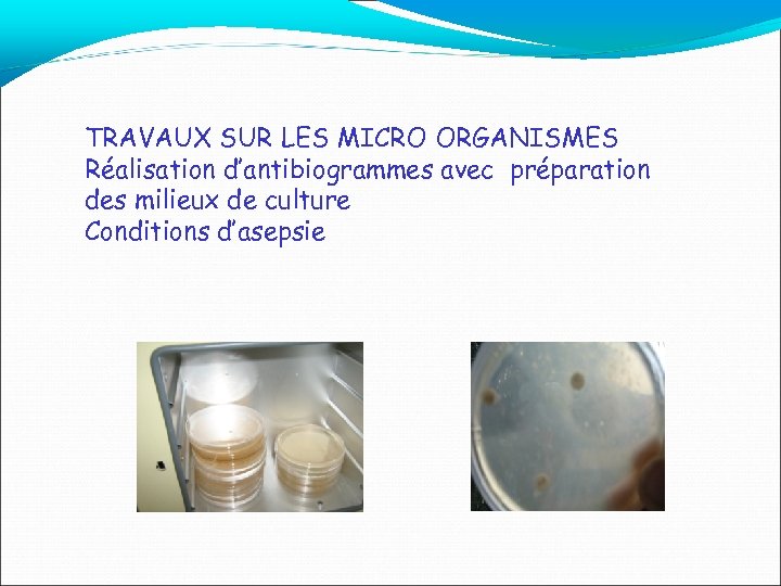 TRAVAUX SUR LES MICRO ORGANISMES Réalisation d’antibiogrammes avec préparation des milieux de culture Conditions