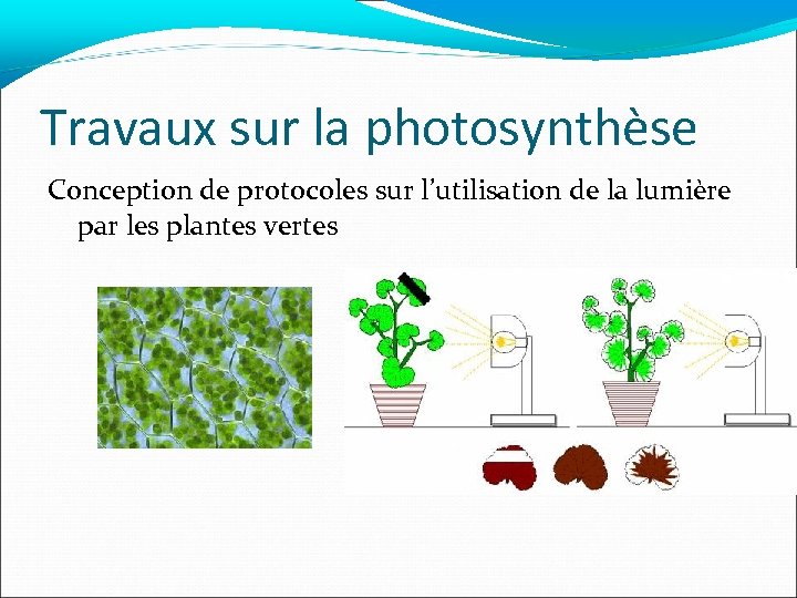 Travaux sur la photosynthèse Conception de protocoles sur l’utilisation de la lumière par les