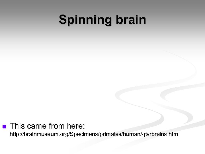 Spinning brain n This came from here: http: //brainmuseum. org/Specimens/primates/human/qtvrbrains. htm 