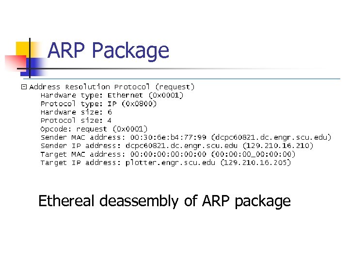 ARP Package Ethereal deassembly of ARP package 