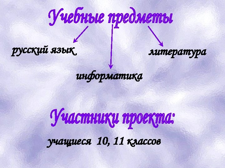 русский язык литература информатика учащиеся 10, 11 классов 