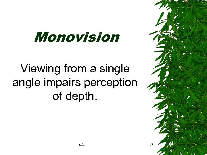 Monovision Viewing from a single angle impairs perception of depth. 4. 2. 37 