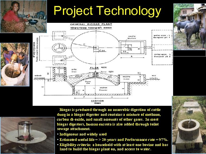 Project Technology • Biogas is produced through an anaerobic digestion of cattle dung in