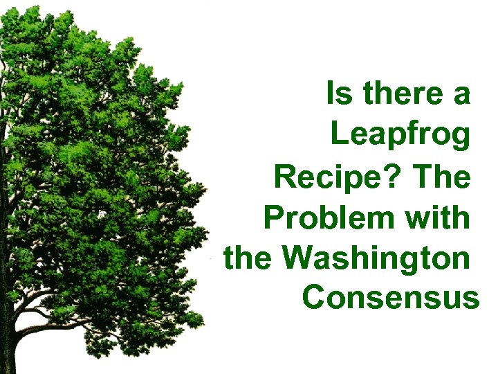 Is there a Leapfrog Recipe? The Problem with the Washington Consensus 