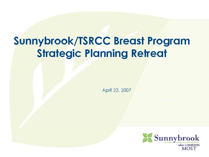 Sunnybrook/TSRCC Breast Program Strategic Planning Retreat April 23, 2007 