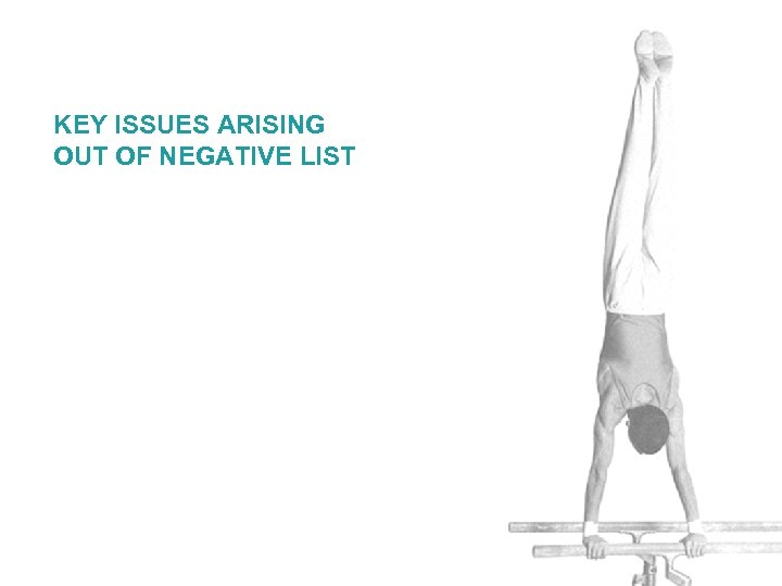KEY ISSUES ARISING OUT OF NEGATIVE LIST 