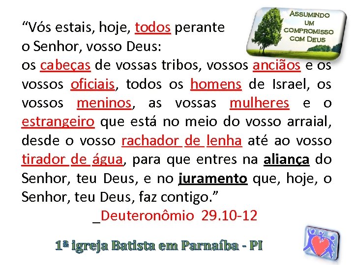 Assumindo um compromisso com Deus “Vós estais, hoje, todos perante o Senhor, vosso Deus: