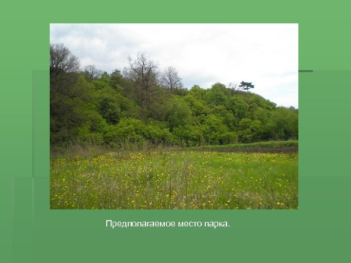 Предполагаемое место парка. 