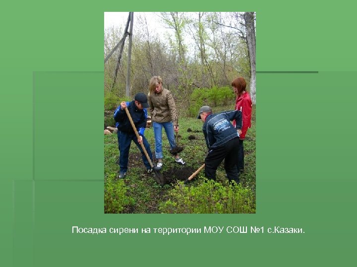 Посадка сирени на территории МОУ СОШ № 1 с. Казаки. 