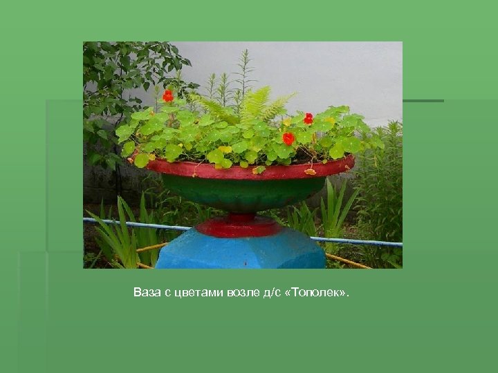 Ваза с цветами возле д/с «Тополек» . 