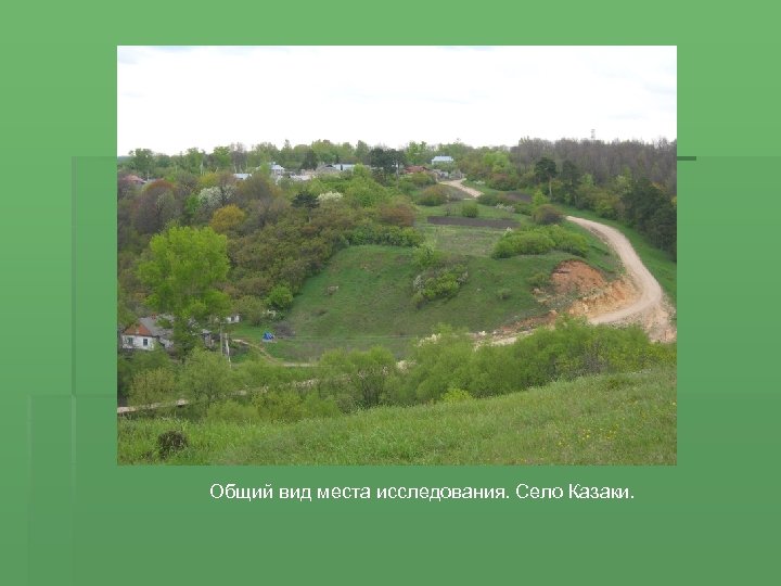 Общий вид места исследования. Село Казаки. 