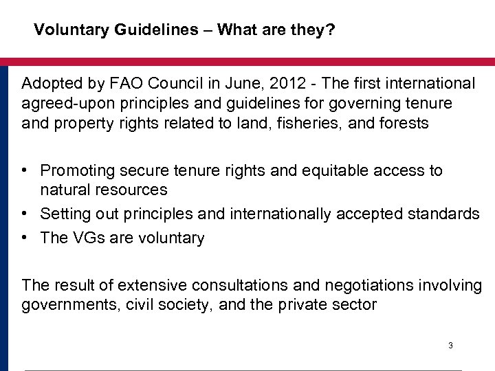 Voluntary Guidelines – What are they? Adopted by FAO Council in June, 2012 -