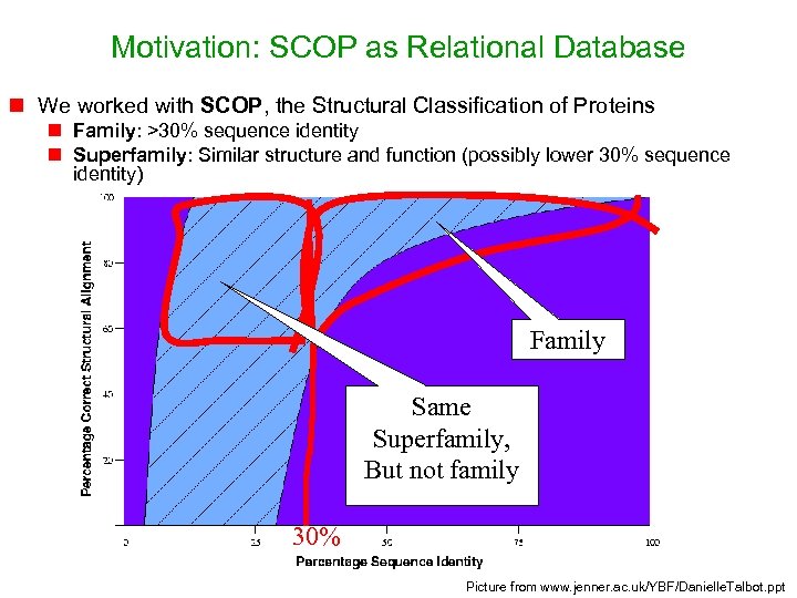 Motivation: SCOP as Relational Database n We worked with SCOP, the Structural Classification of