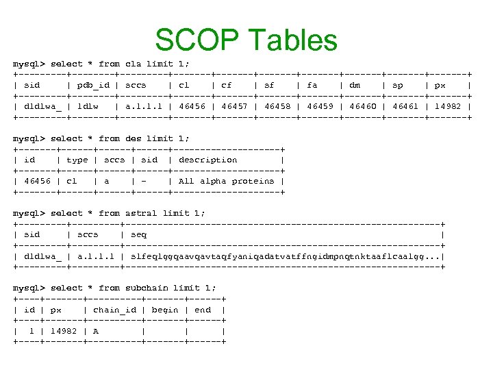 SCOP Tables mysql> select * from cla limit 1; +-----+---------+-------+-------+-------+-------+ | sid | pdb_id
