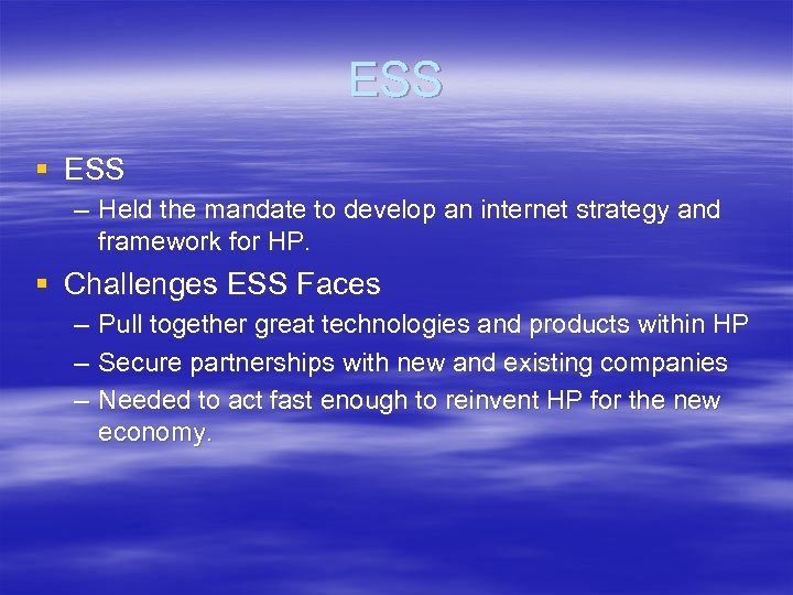 ESS § ESS – Held the mandate to develop an internet strategy and framework