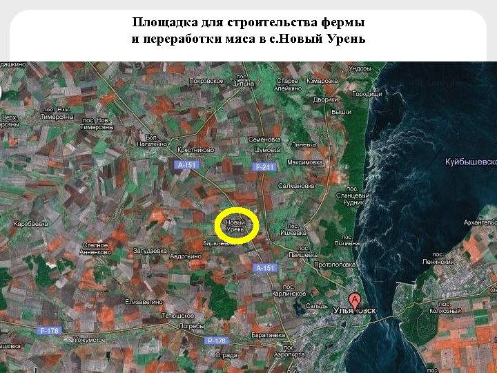 Площадка для строительства фермы и переработки мяса в с. Новый Урень 