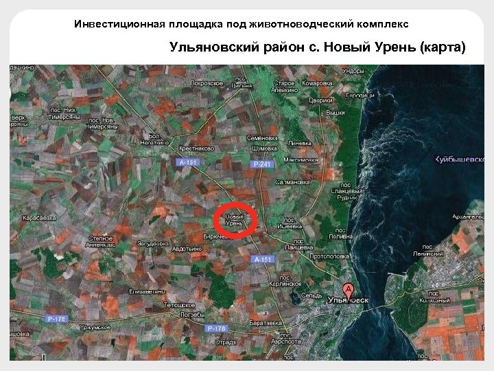 Инвестиционная площадка под животноводческий комплекс Ульяновский район с. Новый Урень (карта) 