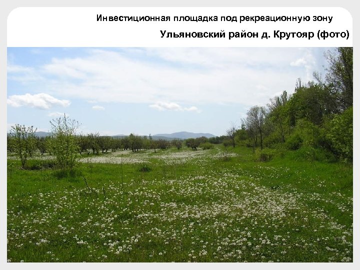 Инвестиционная площадка под рекреационную зону Ульяновский район д. Крутояр (фото) 