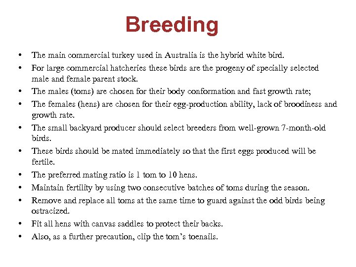 Breeding • • • The main commercial turkey used in Australia is the hybrid