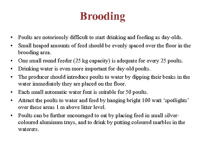 Brooding • Poults are notoriously difficult to start drinking and feeding as day-olds. •