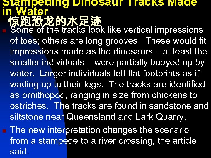 Stampeding Dinosaur Tracks Made in Water 惊跑恐龙的水足迹 n n Some of the tracks look