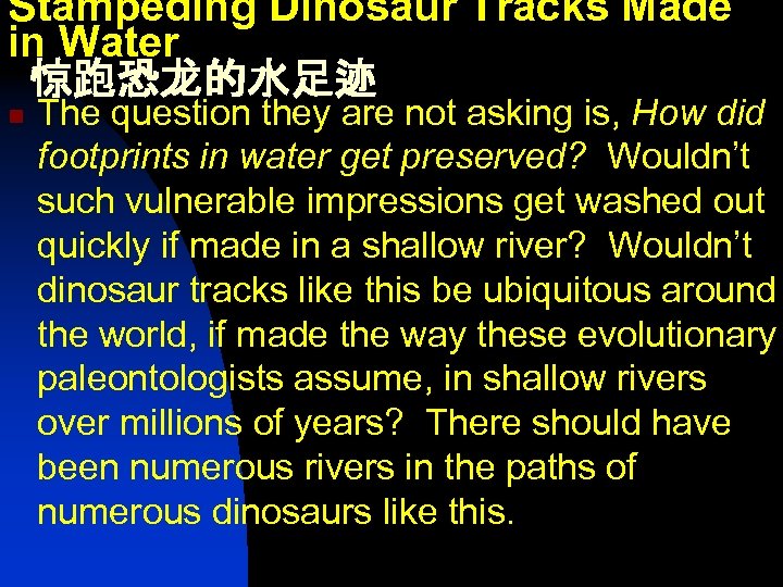 Stampeding Dinosaur Tracks Made in Water 惊跑恐龙的水足迹 n The question they are not asking