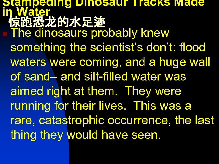 Stampeding Dinosaur Tracks Made in Water 惊跑恐龙的水足迹 n The dinosaurs probably knew something the