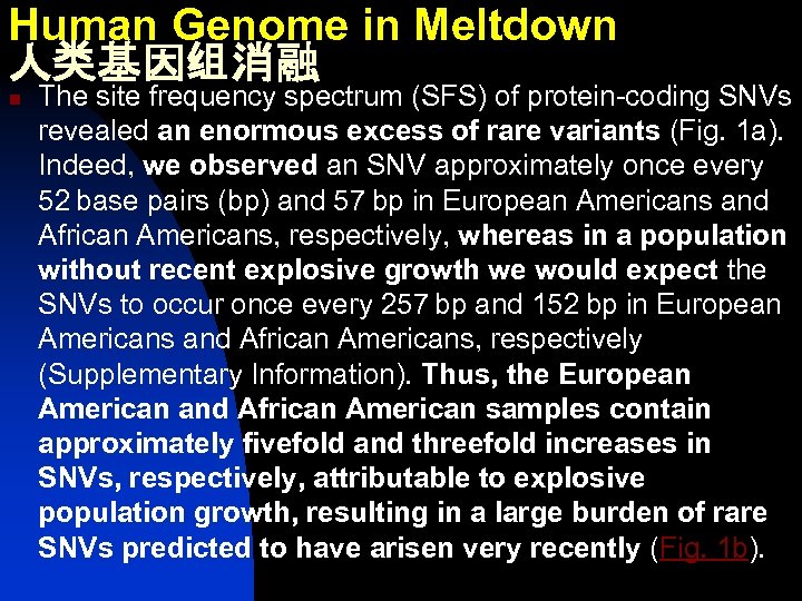 Human Genome in Meltdown 人类基因组消融 n The site frequency spectrum (SFS) of protein-coding SNVs