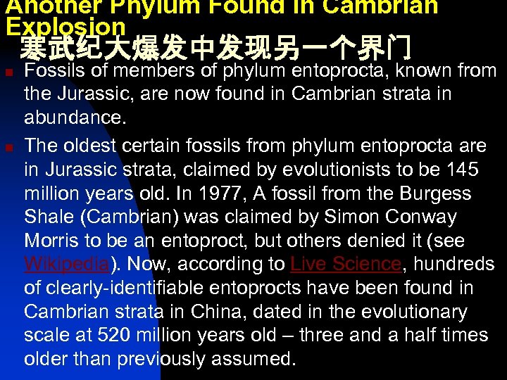 Another Phylum Found in Cambrian Explosion 寒武纪大爆发中发现另一个界门 n n Fossils of members of phylum
