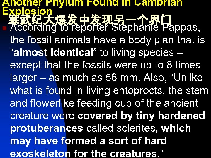 Another Phylum Found in Cambrian Explosion n 寒武纪大爆发中发现另一个界门 According to reporter Stephanie Pappas, the