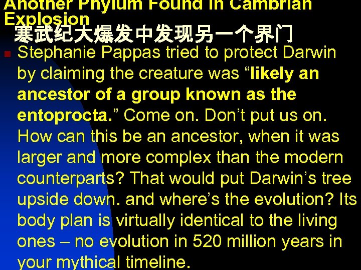 Another Phylum Found in Cambrian Explosion 寒武纪大爆发中发现另一个界门 n Stephanie Pappas tried to protect Darwin
