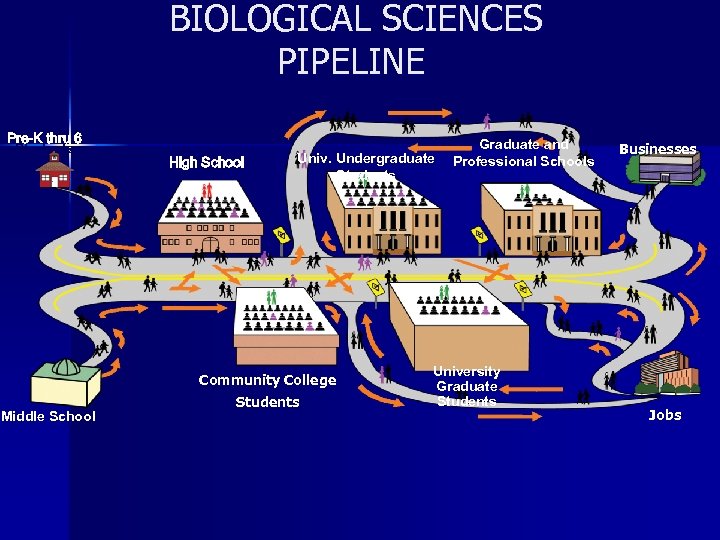 BIOLOGICAL SCIENCES Building NASA Pipeline PIPELINE K 9 Pre-K -thru 6 Students 10 -