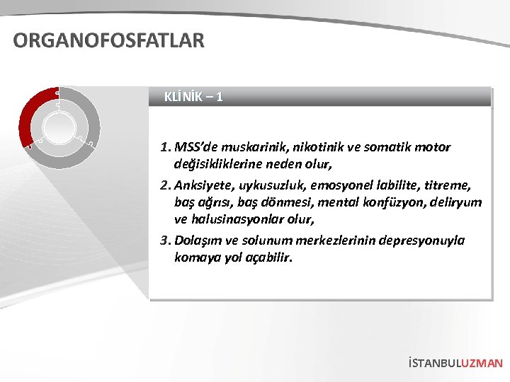 KLİNİK – 1 1. MSS’de muskarinik, nikotinik ve somatik motor değisikliklerine neden olur, 2.