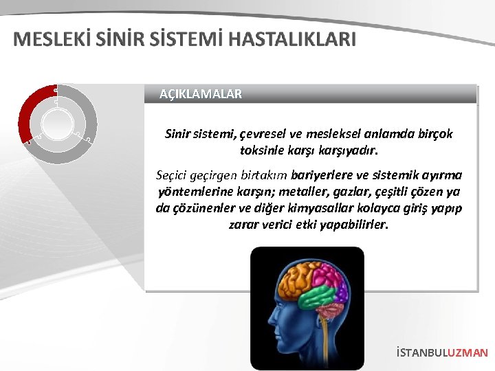 AÇIKLAMALAR Sinir sistemi, çevresel ve mesleksel anlamda birçok toksinle karşıyadır. Seçici geçirgen birtakım bariyerlere