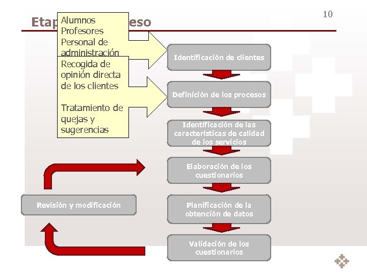 Alumnos Etapas del proceso Profesores Personal de administración Recogida Empresas de opinión directa colaboradoras