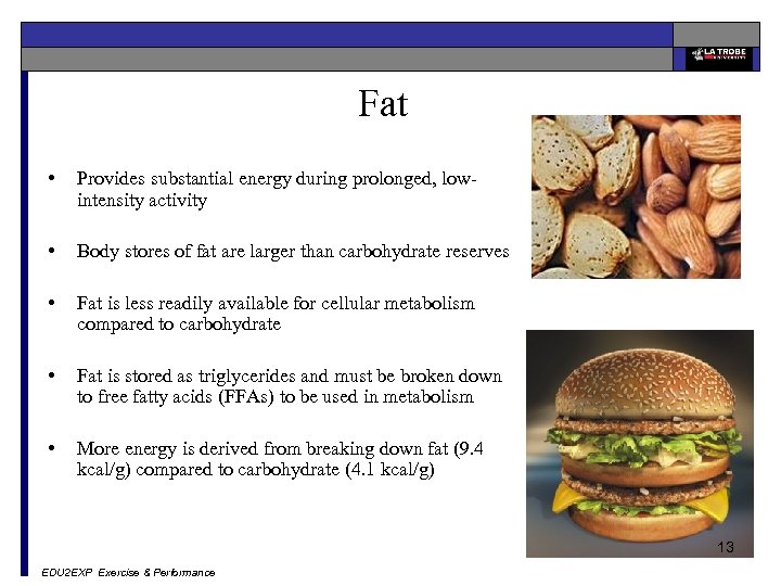 Fat • Provides substantial energy during prolonged, lowintensity activity • Body stores of fat