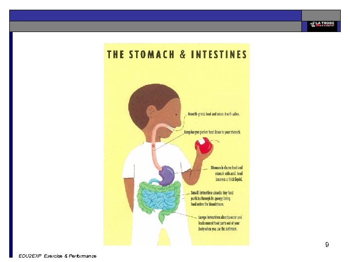 9 EDU 2 EXP Exercise & Performance 