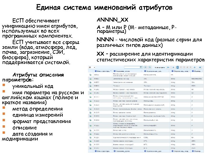 Единая система именований атрибутов ЕСП обеспечивает унификацию имен атрибутов, используемых во всех программных компонентах.