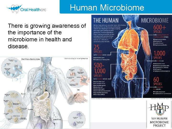 Human Microbiome There is growing awareness of the importance of the microbiome in health