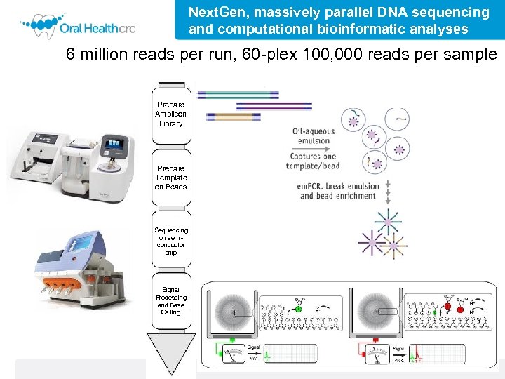 Next. Gen, massively parallel DNA sequencing and computational bioinformatic analyses 6 million reads per