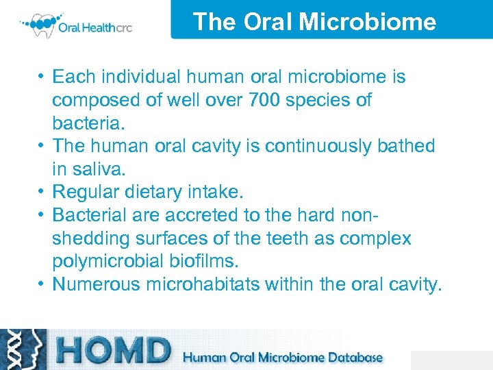 The Oral Microbiome • Each individual human oral microbiome is composed of well over