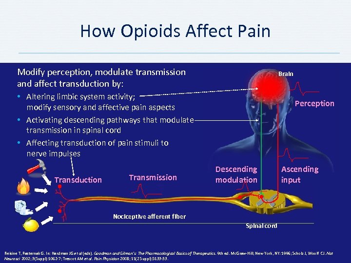 How Opioids Affect Pain Modify perception, modulate transmission and affect transduction by: Brain •