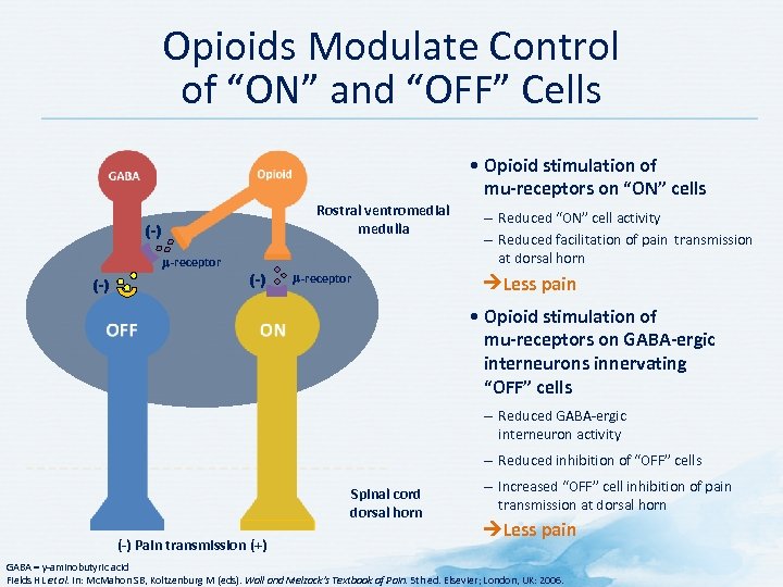 Opioids Modulate Control of “ON” and “OFF” Cells • Opioid stimulation of mu-receptors on